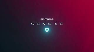 SEN senoxe  highlights 71 [upl. by Rotceh]