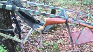 Squirrel Hunting with 32 Caliber Replica Muzzleloading Rifles [upl. by Maleen666]