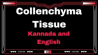 Collenchyma Tissue  Simple Permanent Tissue  Class 9  Kannada and English [upl. by Dallas]