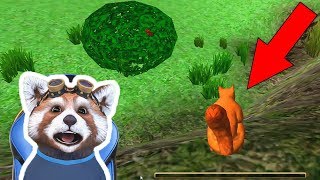 VIATA UNEI VEVERITE  Squirrel Simulator [upl. by Kerrison426]