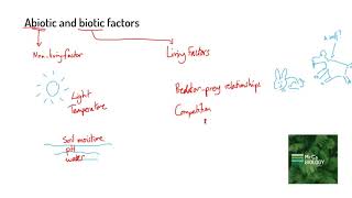 Abiotic and Biotic Factors GCSE 91 Biology [upl. by Yllom]