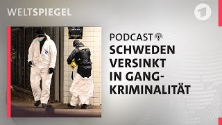 Schweden versinkt in GangKriminalität  Weltspiegel Podcast [upl. by Grinnell]