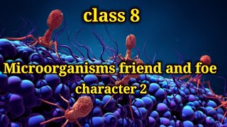 Microorganisms friend and foe class 8  CBSE  chapter 2  kidsworldmathi explain in Tamil [upl. by Ecirtaeb586]