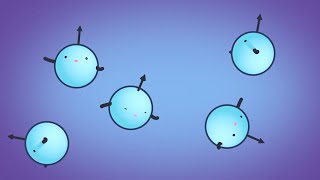 MRI Physics  Magnetic Resonance and Spin Echo Sequences  Johns Hopkins Radiology [upl. by Akemat]