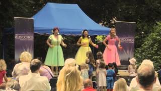 The Bluestockings at Sopley Village Festival [upl. by Richel101]