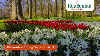 Keukenhof Spring Series part 4  Keukenhof 2021🌷 [upl. by Daney964]