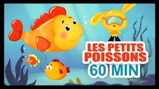 Les petits poissons dans leau  1H DE COMPTINES POUR LES PETITS  Titounis [upl. by Oranneg]