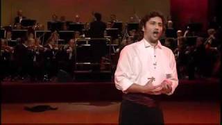 Jonas Kaufmann  Blumenarie aus der Oper Carmen 2011 [upl. by Rempe]