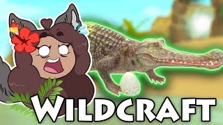 Hatching Our Baby Crocodile 🐍 WildCraft Crocodile Update [upl. by Ellehcsar]