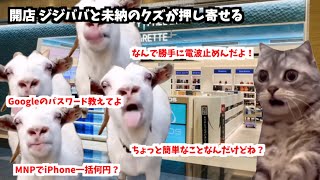 ドコモショップ店員の日常【猫ミーム】 [upl. by Fair]