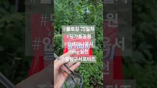 플로깅 75일차 딩가동공원인생아나운서 esg실천시원한 아침을 만들어 주신 아이스 할아버지가 초코파이와 아이스크림까지 주셨습니다 박민숙님과 함께 플로깅 감사합니다 [upl. by Teillo]