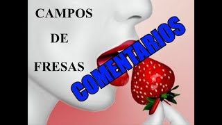 resumen Campo de fresas  Comentarios del lector [upl. by Alleuqahs]