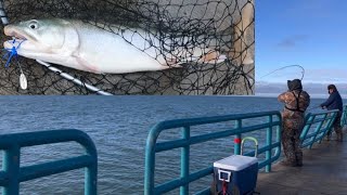 Winter Pier Fishing With Arctic Spinners For Salmon Steelhead and Laketrout Lake Huron Fishing [upl. by Whitford96]