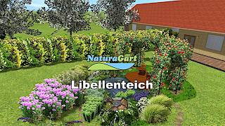 LibellenTeich Lförmig  Naturteich von NaturaGart [upl. by Ahsinauj]