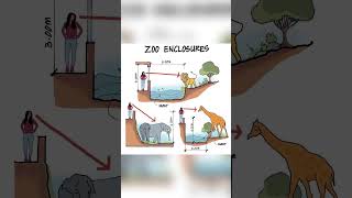 ZOO ENCLOSURES shorts civilengineering065 viral [upl. by Ardin]