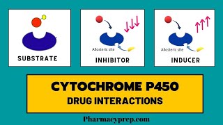 Cytochrome P450 Drug Interactions [upl. by Dorotea]