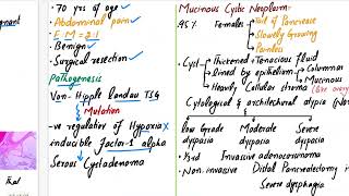 PANCREATIC NEOPLASMS  Cystic Neoplasms Intraductal Papillary Mucinous Neoplasms pancreas patho [upl. by Akimed]