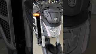 Yamaha FZ V4  What’s new in this motorcycle [upl. by Aphrodite]