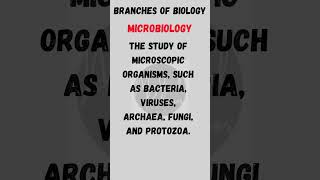 Branches of Biology  Microbiology biology microbiology definition shorts [upl. by Astera]