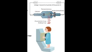 Lect no 101 MRI physicsFRCR Physics [upl. by Horton]