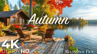 Autumn Forest 4K • Nature Relaxation Film with Peaceful Relaxing Music and Nature Video Ultra HD [upl. by Rotceh]