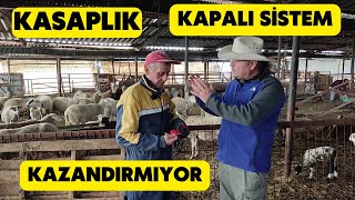 KAPALI SİSTEM KASAPLIK KAZANDIRMIYOR Kapalı Sistemde Koyun Bakmak Maliyetli [upl. by Howie]