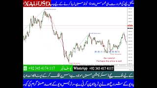 MT4 Indicator XLP 317 [upl. by Chobot830]