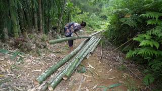 Single mom  Harvesting Vegetable Garden Goes to the market sell  Gardening [upl. by Buchbinder]