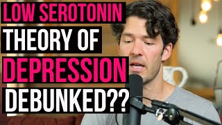 Serotonin Theory of Depression Lacks Evidence [upl. by Yrahk]