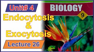 Endocytosis amp Exocytosis  Class 9 Biology  Lecture 26  IlmKaGhar [upl. by Notsirb]