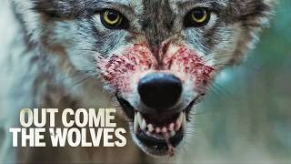 OUT COME THE WOLVES Full Trailer Breakdown  Wild Canines  FalconYork [upl. by Ahtelahs]