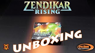 Zendikar Rising  Collector Display Unboxing  SpielRaum DE [upl. by Dionis]