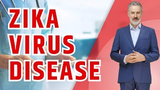 Zika Virus Disease  Symptoms Transmission and Prevention [upl. by Onilegna528]