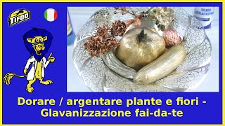 Come dorare  argentare plante e fiori  Galvanizzazione faidate [upl. by Ilene564]