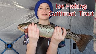 Catching Cutthroat Trout Through The Ice At Scofield Reservoir [upl. by Jamal]