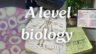 A level biology edexcel a SNAB Topic 1 Water [upl. by Romulus]