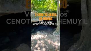 Visitamos 3 cenotes GRATUITOS en México👉CENOTES DE CHEMUYIL cenotes cenotegratuito mexico tulum [upl. by Viviene]