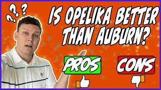 Pros and Cons of Living in Opelika Alabama [upl. by Lloyd]