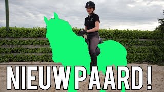 EEN NIEUW PAARD EEN NIEUW AVONTUUR  PAARDRIJDEN MET PLEZIER [upl. by Nogras578]