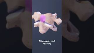 Atlantoaxial Joint Anatomy [upl. by Andrea86]