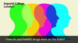 How do psychedelic drugs work on the brain [upl. by Gladdy]