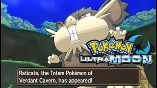 Pokemon Ultra Moon  Totem Raticate [upl. by Bartram]