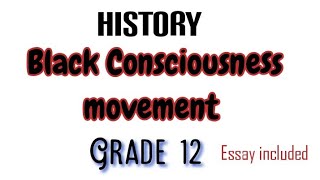 Black Consciousness movement Grade 12 [upl. by Naillil]