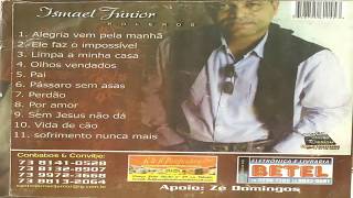 TOP ISMAEL JUNIOR CD COMPLETO [upl. by Rehpotsirhcnhoj]