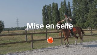 Améliorer sa position à cheval avec ses 3 exercices de mise en selle [upl. by Millar]