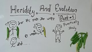 heridity and evolution class 10 part 1 GKP class 10 biology heredity and evolution explain in Hindi [upl. by Haramat]