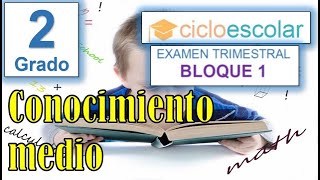 Preguntas de Examen CONOCIMIENTO MEDIO  2do Grado Primaria Bloque 1 [upl. by Nirrok401]