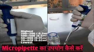 How to use Micropipette 200µl [upl. by Katinka]