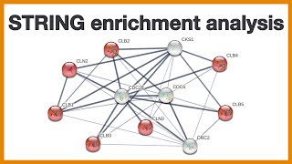 STRING enrichment analysis Brief introduction to the gene set enrichment functionality of STRING [upl. by Karena]