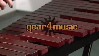 Xylophone by Gear4music [upl. by Owena]